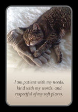Load image into Gallery viewer, My Daily Affirmation Cards by Cheryl Richardson

